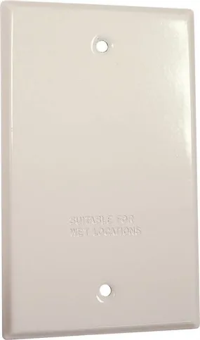 1g White Blank Cover