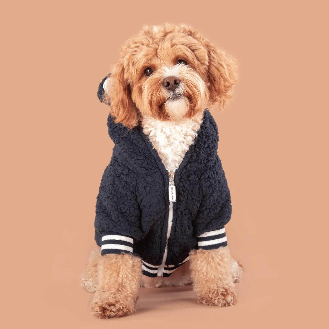 Big & Little Dogs Navy Teddy Hoddie Dog Jumper