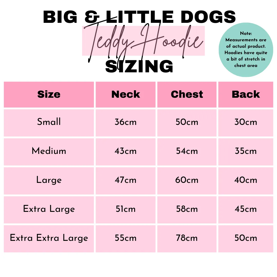 Big & Little Dogs Navy Teddy Hoddie Dog Jumper