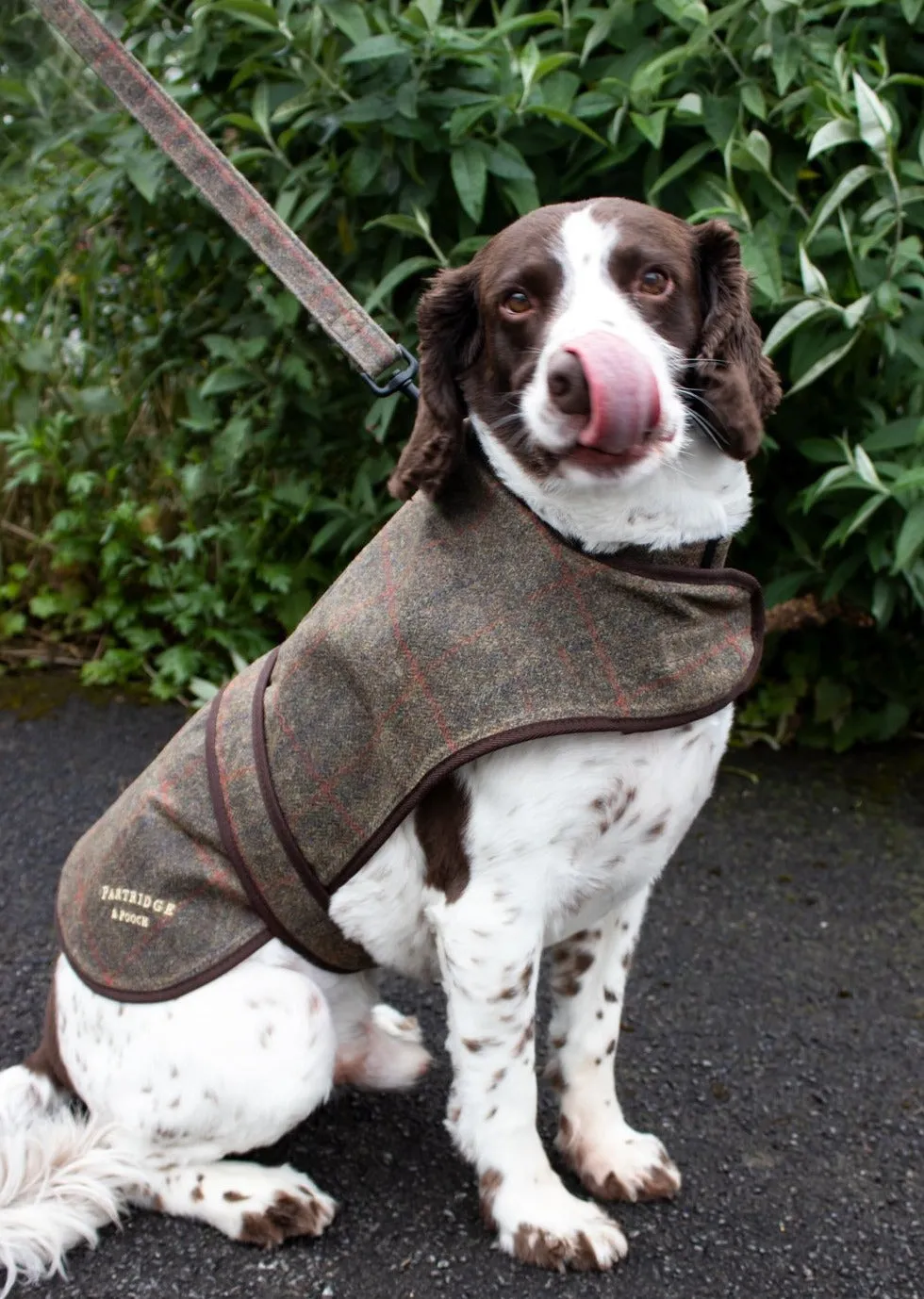 Dog Coat - Brown Check Waxed Tweed