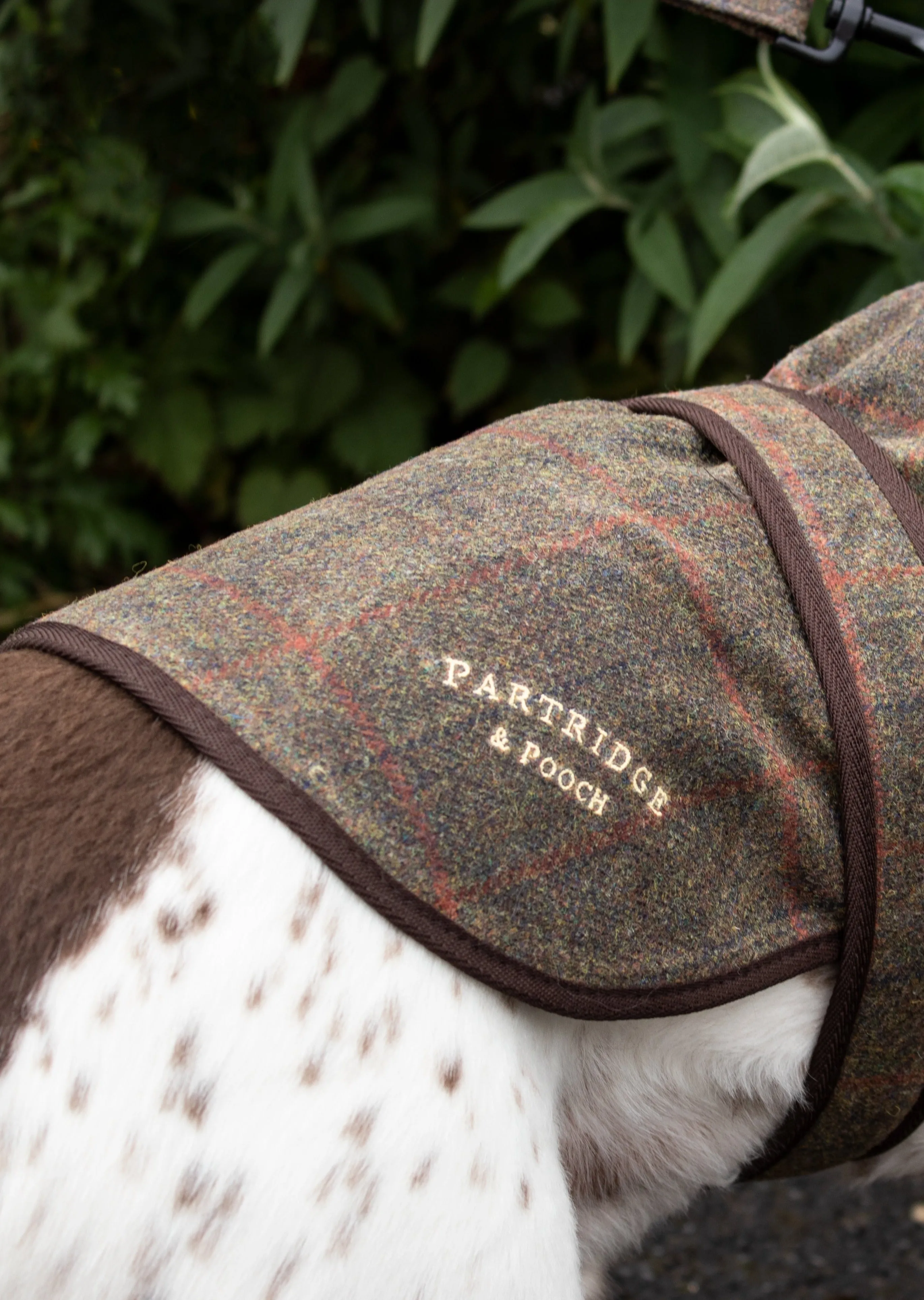 Dog Coat - Brown Check Waxed Tweed