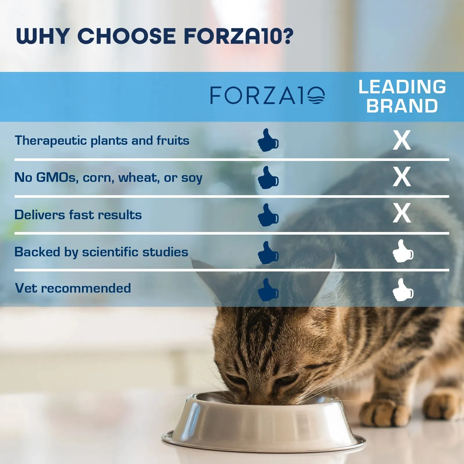 Forza 10 Intestinal Dry Cat Food 4 lbs