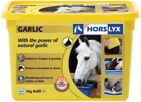 Horslyx Garlic Horse Balancer Lick