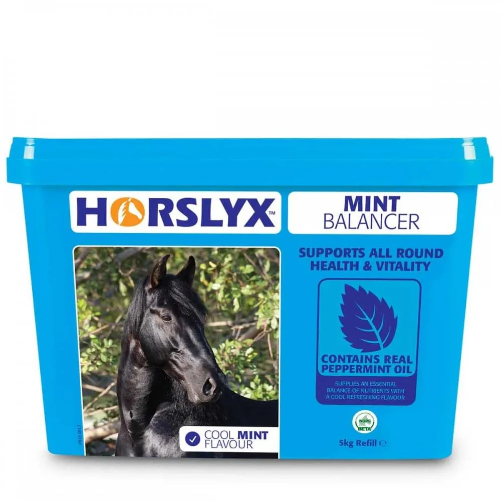 Horslyx Mint Balancer Stable Lick