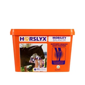 Horslyx Mobility Balancer Stable Lick