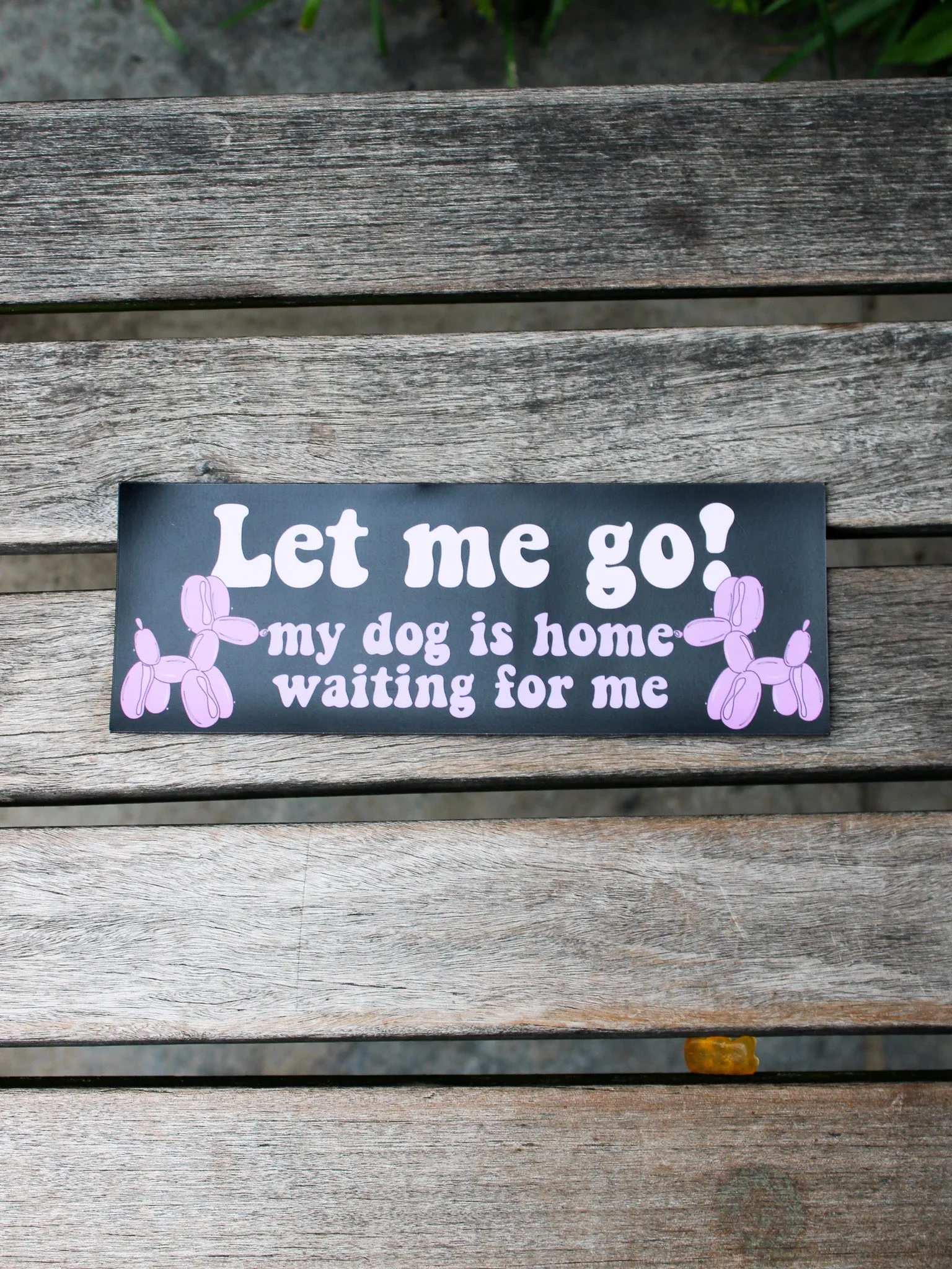 Let Me Go Car Magnet