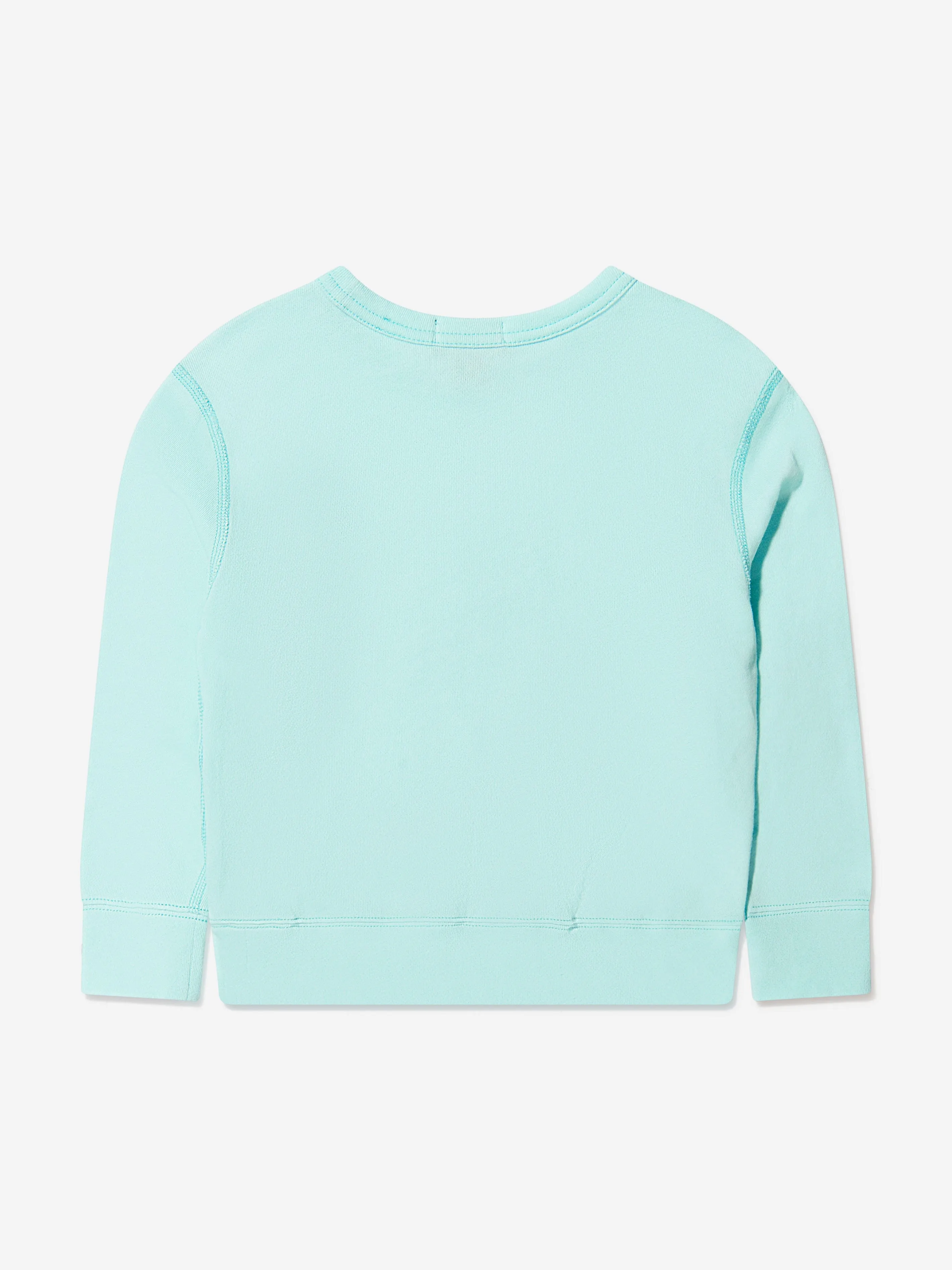 Ralph Lauren Boys Logo Sweatshirt in Aquamarine