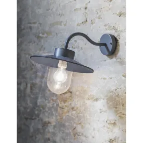 Swan Neck Light in Charcoal - Steel