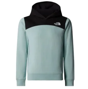 The North Face Girls Back Logo Relaxed Pullover Hoodie Muted Pine